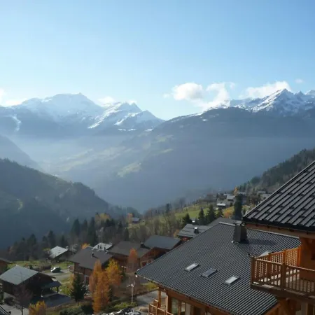 Superbe Chalet 12 Pers, Proche Pistes, Sauna, Animaux, Parking - Fr-1-293-55 木屋